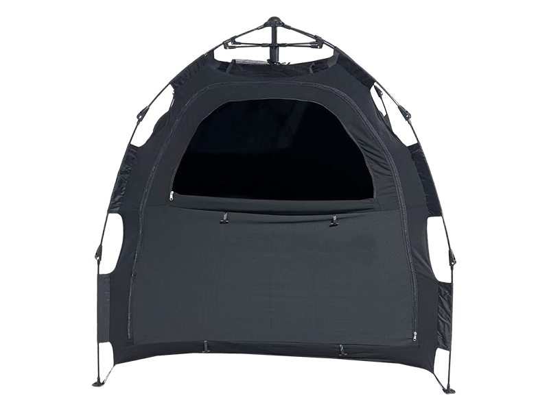 Autism-amica Leica Tentorium